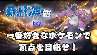 【ポケモン金銀】第２弾！ニドキングと共にチャンピオンを目指せ始動！