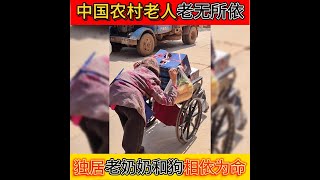 90岁农村老奶奶独自坚强生活，老无所依，与狗为伴，看着让人心疼 | 中国农村老人现状 | 留守农村老人 | 老无所依 | 孤独艰苦 | 与狗相伴 | 关爱独居老人