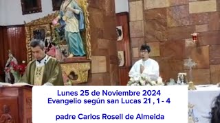 Evangelio Lunes 25 de Noviembre 2024 - padre Carlos Rosell