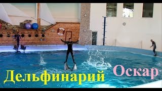 Дельфинарий Оскар в Трускавце. Черноморские Дельфины.