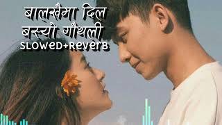 Balakhaima Dil Basyo Gauthali (Slowed and Reverb) || Rupesh Chand || Milan B.K., Puja Gaha