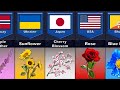 National Flower From Different Countries - Comparison Result