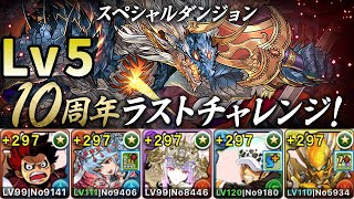 【10周年ラストチャレンジ】Lv5 攻略【パズドラ】