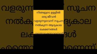 Early pregnency symptoms #shorts #viralshorts #pregnencysymtom #malayalam