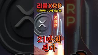 리플 XRP \