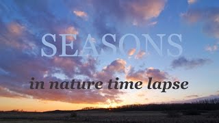 Seasons in nature: Winter Spring Summer Time-lapse Hyperlapse