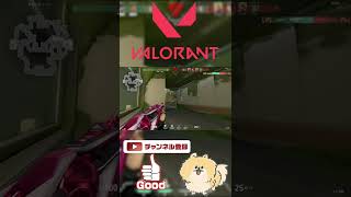 クロノヴォイドスキンいいなぁー【VALORANT】#Shorts