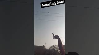 Myna bird 🕊️ Hunting with slingshot 🐦 #huntingmaster #birdhunting #birds #hunting