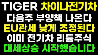 차이나전기차 다음주 부양책 호재로 중국 증시 다시 상승할까? 저가 매수기회 놓치지마세요 ( 미국주식 TQQQ SOXL 2차전지 ETF BYD 항셍테크 샤오미 CATL 中国电动车 )