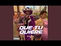 Que Tu Quiere (feat. Dj Slxw)