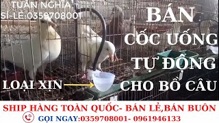 BÁN Máng Uống Nước Tự Động Cho Chim Bồ Câu Loại Xịn Siêu Bền.