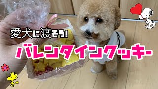 【犬用】【超簡単】愛犬にも愛情たっぷりバレンタインクッキー💝