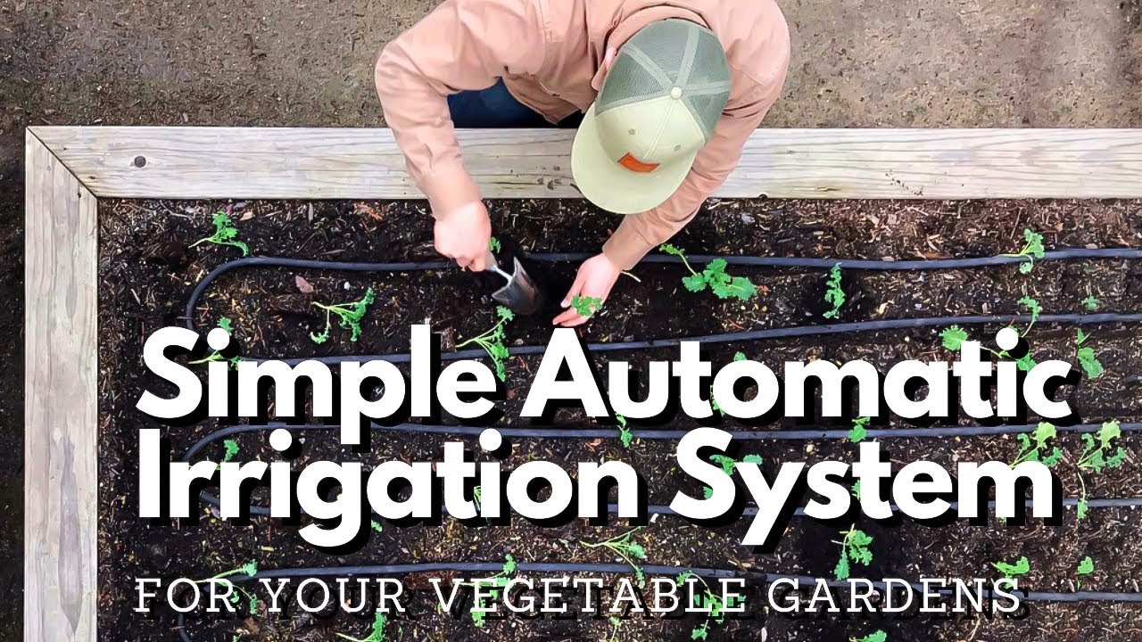 Easy DIY Automatic Irrigation System For Any Garden! - YouTube