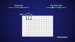 Advantages/Disadvantages of Singleplex and Duplex qPCR -- Ask TaqMan® Ep. 14 by Life Technologies