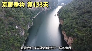 荒野垂钓第133天，今天又被鱼儿教训了，十米的竿子都被拉黑漂