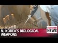 Military analysts concerned about N. Korea's biological weapons: NYT