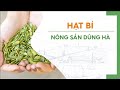 Hạt Bí - Siêu Thực Phẩm Bí Ẩn: Bật Mí Lợi Ích Sức Khỏe và Làm Đẹp Không Thể Bỏ Qua!