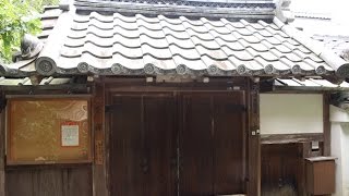 大珠院 京都 / Daishu-in Temple Kyoto / 대주 학원 교토