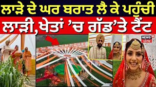 Ferozepur News| ਲਾੜੇ ਦੇ ਘਰ ਬਰਾਤ ਲੈ ਕੇ ਪਹੁੰਚੀ ਲਾੜੀ,ਖੇਤਾਂ ’ਚ ਗੱਡ’ਤੇ ਟੈਂਟ | Punjabi News| News18 Punjab