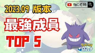 最強寶可夢 TOP 5！｜全島嶼篇【Pokemon Sleep 寶可夢睡覺】