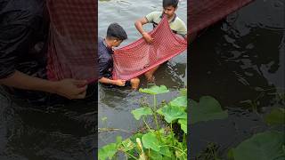 তোমরা আমাকে গামছা দিয়ে মাছ ধরতে বলেছো 🎏🐟 #bangla #fishing #minivlog