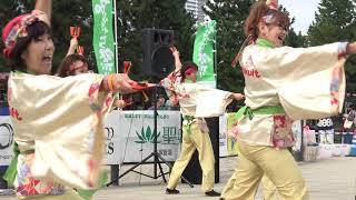 ネットでよさこい草加／草加ふささら祭り 踊るん♪よさこい2019