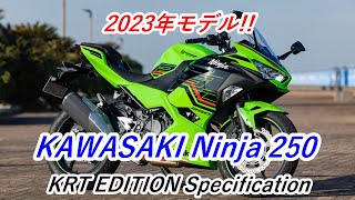 【Review】幅広い乗りやすさで人気!!2023年モデル KAWASAKI Ninja 250 KRT EDITION Specification（カワサキ ニンジャ 250）