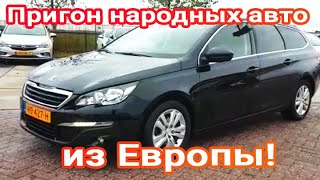 Актуальные предложения автомобилей к покупке в Украину на сегодня! Сколько стоит пригнать авто? Ч-2