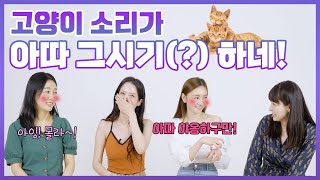 ※꿀잼 보장※ 정말 상상도 못했던 각 나라의 동물 소리들 ㅋㅋㅋㅋㅋㅋ  비슷할 줄 알았는데 이거 실화인가요??? | 구잘TV