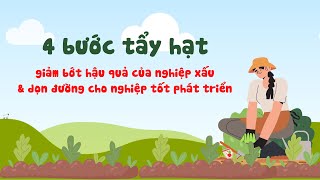 4 bước tẩy hạt- 4 sức mạnh | Công cụ giúp giảm bớt hậu quả của hạt giống xấu | DCI LV1