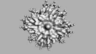 Lsystem Animation