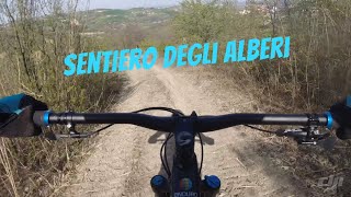 Castellarano MTB - Trail Fagiano e degli Alberi - Rontano