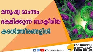 മനുഷ്യ മാംസം ഭക്ഷിക്കുന്ന ബാക്ടീരിയ കടല്‍ത്തീരങ്ങളില്‍ സജീവമാകുന്നു