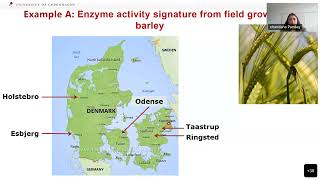 IBH Seminar: Understanding the impact of drought on fungal resistance