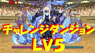 【パズドラ】チャレンジダンジョン LV5に初見チャレンジ！【257】