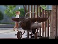 mavrid residential animation in unreal engine unrealengine architecture 3danimation residential