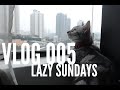 VLOG - Lazy Sundays with Soba