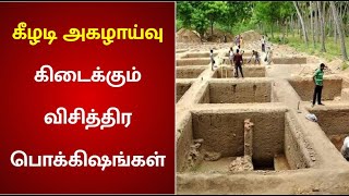 கீழடி அகழாய்வில் புகைப்பிடிக்கும் கருவி ,விலங்கு உருவ பொம்மை கண்டுபிடிப்பு  | Keeladi | Tamilnadu