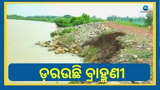 Kendrapara News । କୂଳ ଲଂଘୁଛି Brahmani River, ଚିନ୍ତାରେ ଭୟରେ ଦିନ କାଟୁଛନ୍ତି ରାଜନଗର ବାସୀ।Zee Odisha News