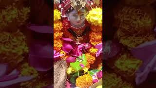 Kamala Vasini man#trending #sortvedieo # viral videos#🙏🙏🙏🙏🙏