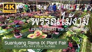 งานพรรณไม้งาม อร่ามสวนหลวง ร.๙ 2566 Suanluang Rama IX Plant Fair 2023 スワンルアン ラマ 9 世プラント フェア