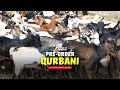 Fulfil Your Qurbani