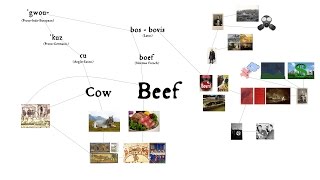 Beef: Word History Connections