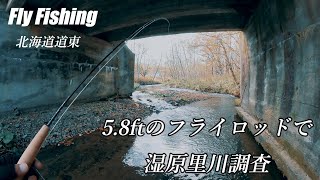 【フライフィッシング】2022年10月　河川調査　北海道道東湿原河川釣り 今日も5.8ftロッド