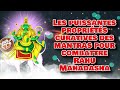 Les puissantes propriétés curatives des mantras pour combattre Rahu Mahadasha