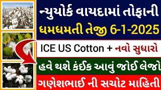 નવા કપાસ નું બજાર | ICE live cotton trading price today l online commodity market | 06-01-2025