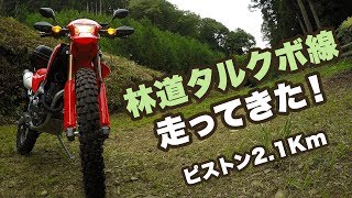 日の出町の林道タルクボ線を走ってきた！【CRF250L】【モトブログ】【motovlog】【林道】【ツーリング】