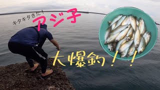 真夏の釣りと言えばアジ子釣りでしょ！！