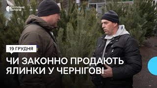 Ялинки та сосни у Чернігові: чи законно їх продають та які новорічні дерева популярні цьогоріч