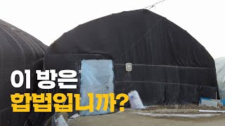 비닐하우스에서 하룻밤 자고 왔습니다 | 이주노동자들의 경험 | 씨리얼 사회탐구